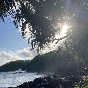 Meet your Posher, Domonique